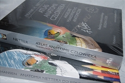 Atlas anatomii człowieka Nettera  Angielskie mianownictwo anatomiczne + Anatomia Nettera do kolorowania PROMOCJA