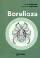 Borelioza - 2018