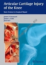 Articular Cartilage Injury of the Knee  Basic Science to Surgical Repair