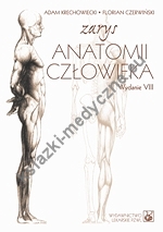 Zarys anatomii człowieka