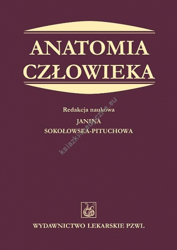 Anatomia Człowieka Podręcznik Dla Studentów Medycyny - Książki Medyczne ...