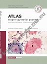 Atlas stopni czystości pochwy  Procedury badawcze, interpretacje wyników